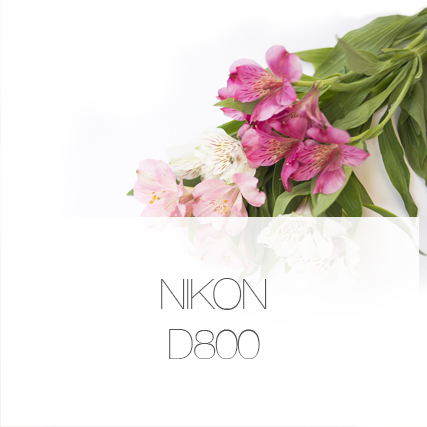 D800 quality when zooming in.