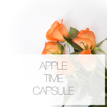 Backing up and the Apple Time Capsule